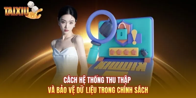 Cách hệ thống thu thập và bảo vệ dữ liệu trong chính sách 