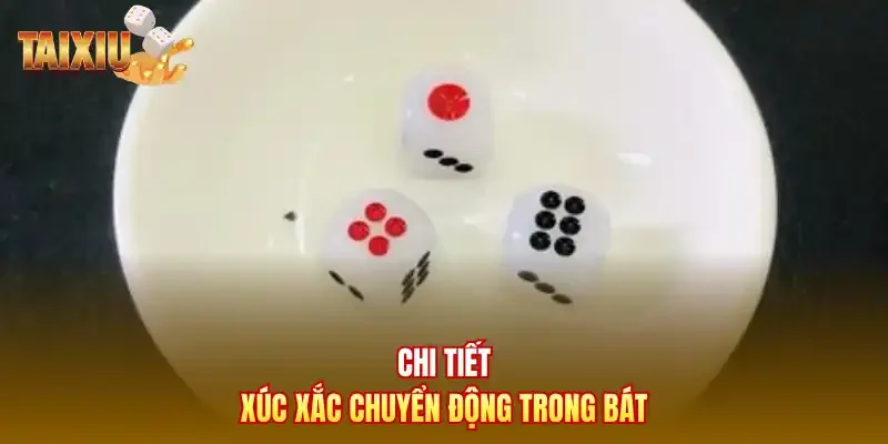 Chi tiết xúc xắc chuyển động trong bát