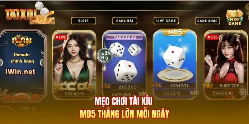 Mẹo chơi tài xỉu MD5 thắng lớn mỗi ngày